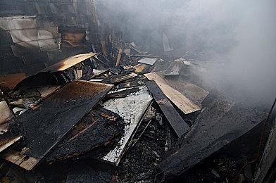 蛇年首批版号下发！植物大战僵尸3喜提版号